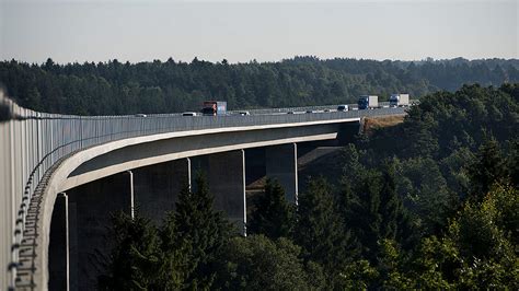 egepur|Egekrat ved Gørding Å